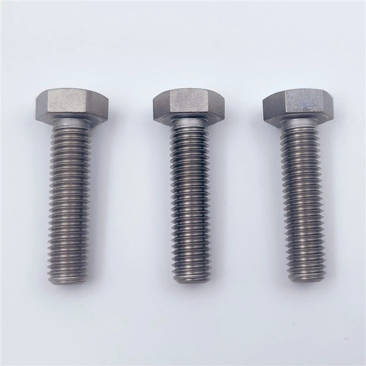 Titanium Hex Head Bolt (2)